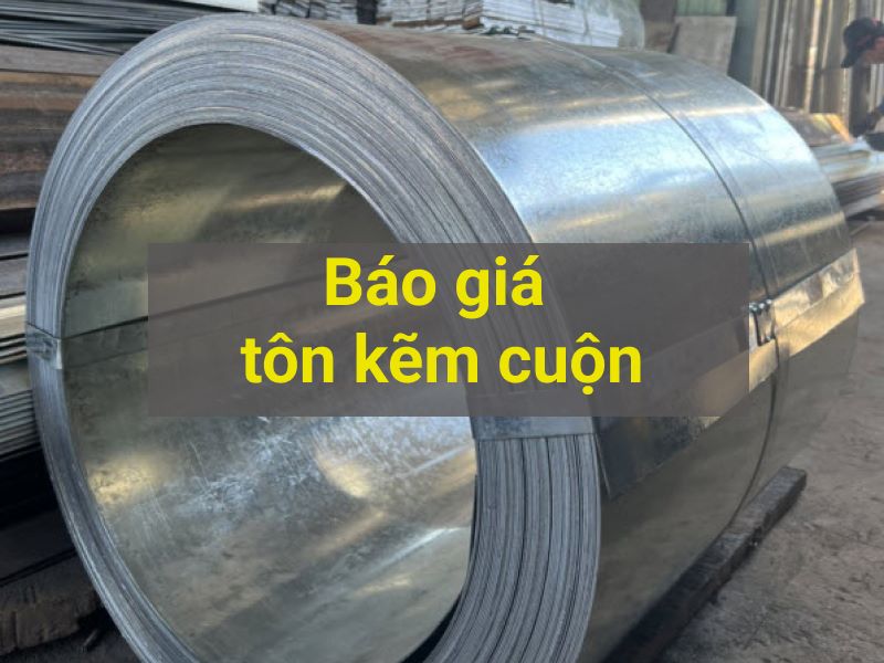 Báo giá tôn kẽm cuộn