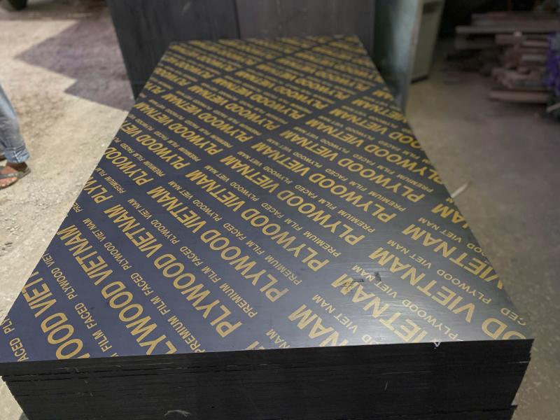 Ván phủ phim PLYWOOD VIET NAM chính hãng tại đại lý Tôn Thép MTP